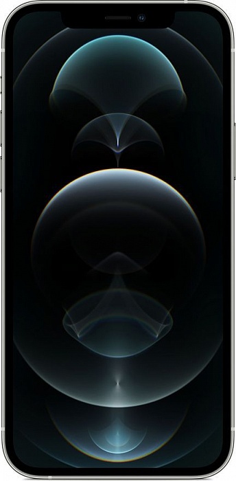 Смартфон Apple iPhone 12 Pro Max 128GB (серебро)